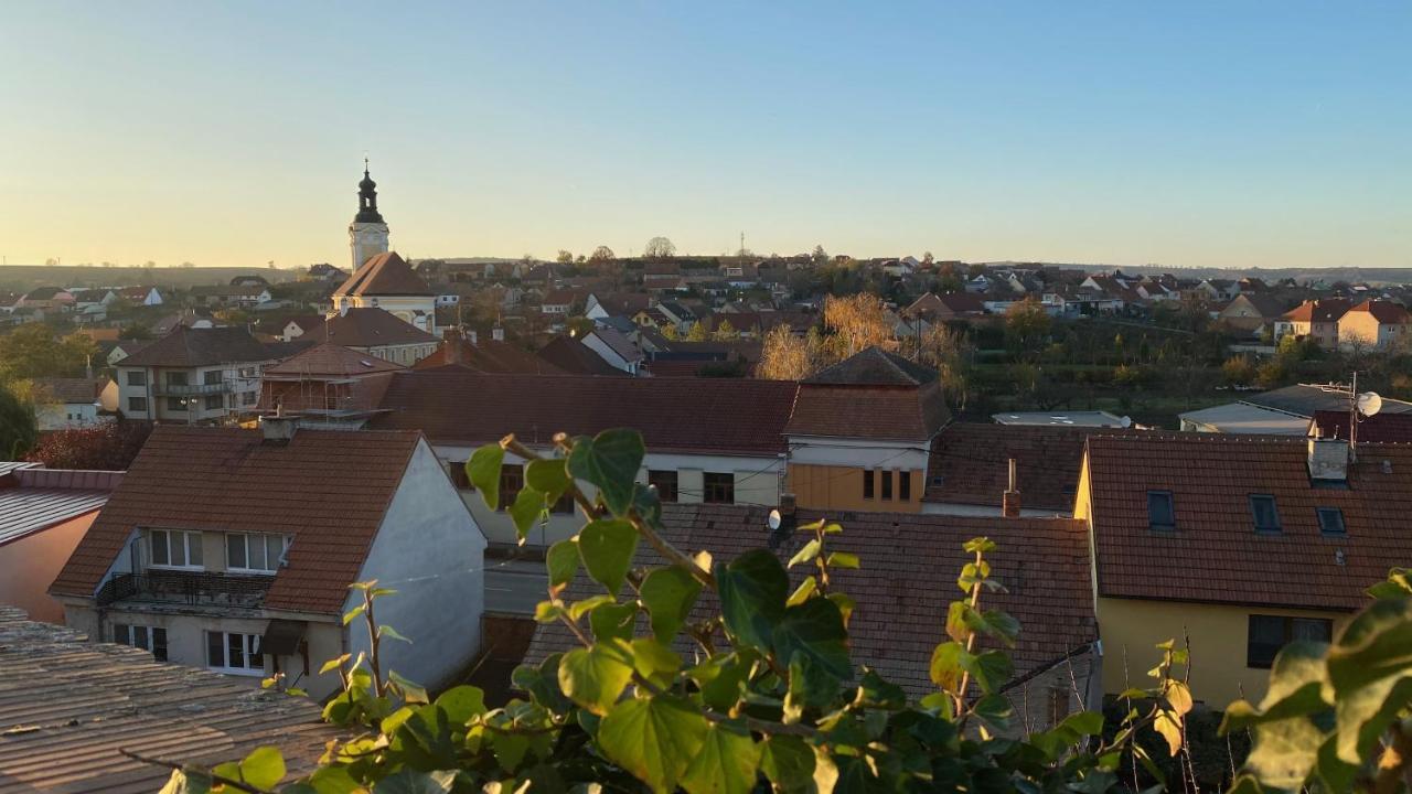 Hotel Chateau Zamek Cejkovice Exteriér fotografie
