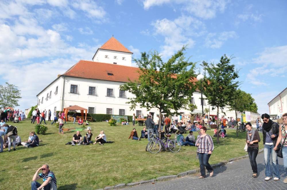Hotel Chateau Zamek Cejkovice Exteriér fotografie